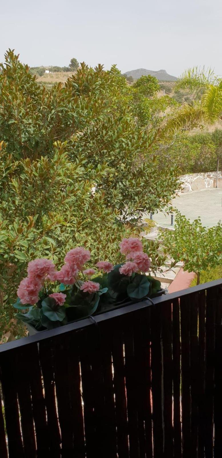 Hotel Cortijo De Salia Alcaucín Rum bild